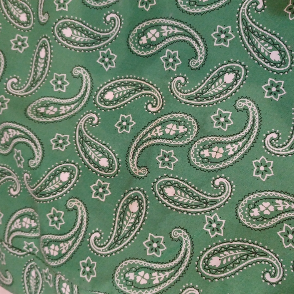 Neiman Marcus Green Paisley Tote Bag - Picture 7 of 7